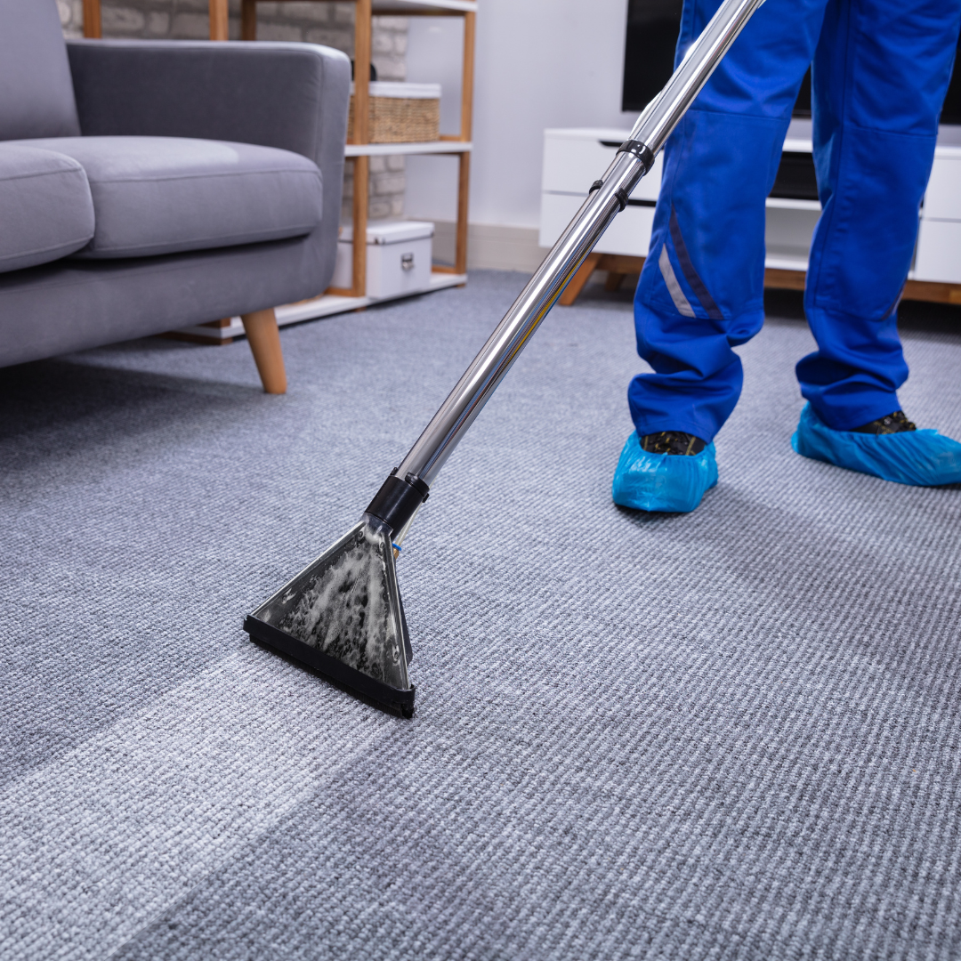 Carpet Cleaning